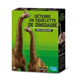 KidzLabs - Dig a Dino - Brachios - 4M-5663237 - 4M - Educational kits - Le Nuage de Charlotte