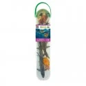 CollectA Boîte de Mini Animaux Marin Prehistorique - COL-A1104 - CollectA - Figurines et accessoires - Le Nuage de Charlotte