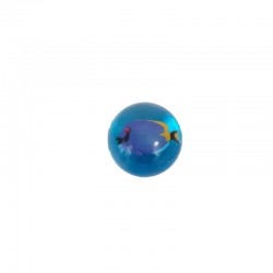 Bouncing Ball - Surgeon fish - GOK-8616002b - Goki - Bouncing Ball - Le Nuage de Charlotte