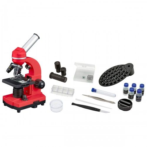 Bresser Junior BIOLUX SEL Microscope d'écolier avec Porte-Smartphone, Nombreux Accessoires et système de Zoom à lentille de Barlow, pour Enfants, débutants et Adultes Bresser Junior BIOLUX SEL Microscope d'écolier avec Porte-Smartphone, Nombreux Accessoires et système de Zoom à lentille de Barlow, pour Enfants, débutants et Adultes