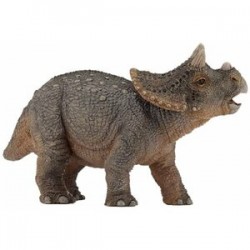 Young triceratops - PAPO-55036 - Papo - Figures and accessories - Le Nuage de Charlotte