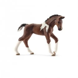 Trakehner foal - SCH-13758-🔴 - Schleich - Figures and accessories - Le Nuage de Charlotte