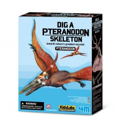 KidzLabs - Déterre ton dino Pteranodon - 4M-5603459 - 4M - Coffrets éducatifs - Le Nuage de Charlotte