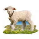 I AM - Lamb - MDC-5124018 - MaDDCaPP - Puzzles for little ones - Le Nuage de Charlotte