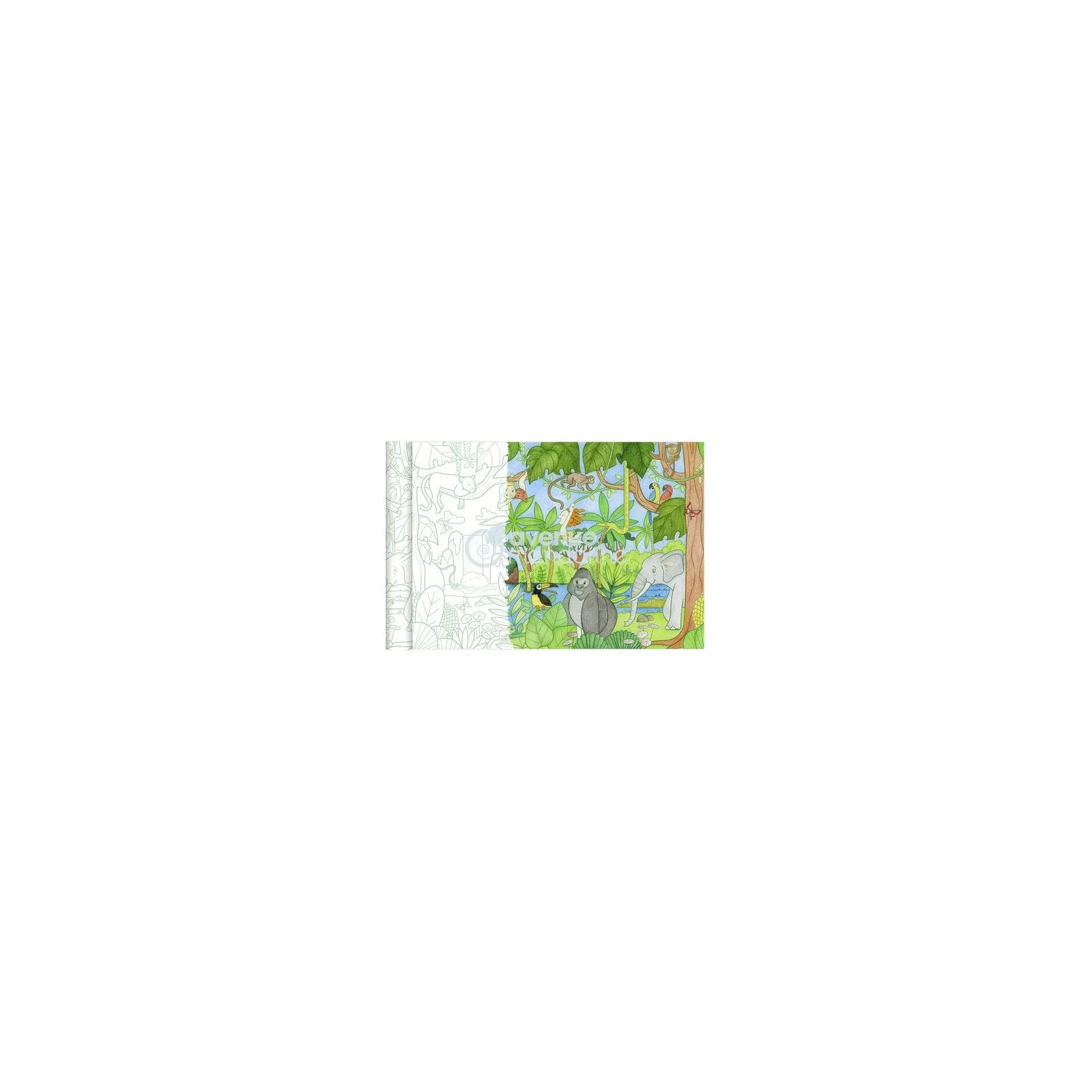 Graffy Roll, Jungle - AVM-GY127C - Avenue Mandarine - Atelier dessins et peintures - Le Nuage de Charlotte