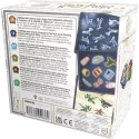 Cortex Challenge - Harry Potter - ZYG-191545 - Zygomatic - Board Games - Le Nuage de Charlotte