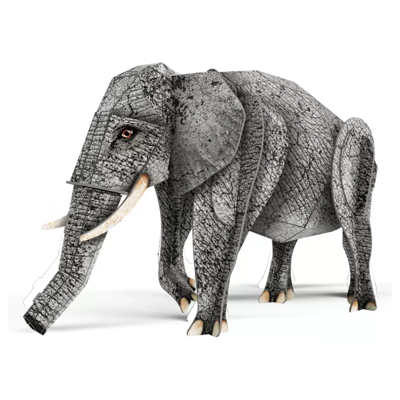 The 3D elephant. The jungle. Extraordinary biodiversity - SASSI-9788830302723 - Sassi - Documentaries - Le Nuage de Charlotte