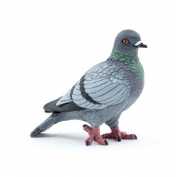Pigeon - PAPO-🟢-50295 - Papo - Papo - Le Nuage de Charlotte