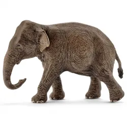 Eléphant d’Asie, femelle - SCH-14753-🟤 - Schleich - Figurines et accessoires - Le Nuage de Charlotte