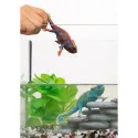 Caméléon - SCH-14858-🟡 - Schleich - Figurines et accessoires - Le Nuage de Charlotte