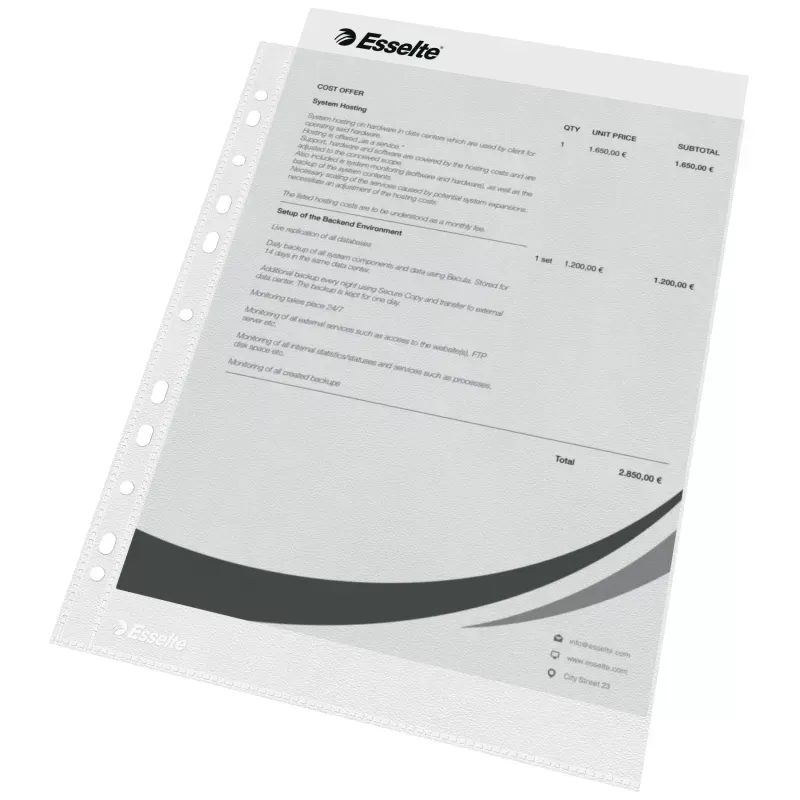 Esselte A4 grained PP perforated pocket, 43µ, x100 - ESSE-56171 - Esselte - Binders - Le Nuage de Charlotte