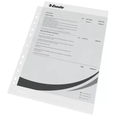 Esselte A4 grained PP perforated pocket, 43µ, x100 - ESSE-56171 - Esselte - Binders - Le Nuage de Charlotte