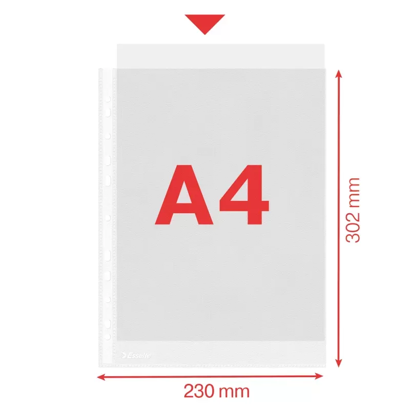 Esselte A4 grained PP perforated pocket, 43µ, x100 - ESSE-56171 - Esselte - Binders - Le Nuage de Charlotte