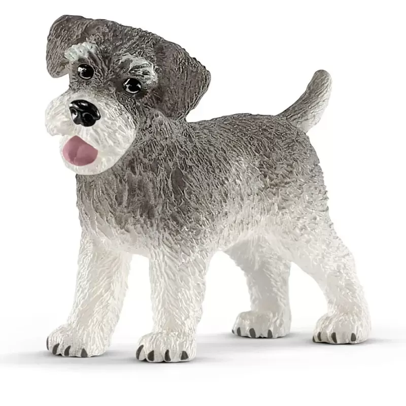 Schnauzer nain - SCH-13892-🟢 - Schleich - Figurines et accessoires - Le Nuage de Charlotte