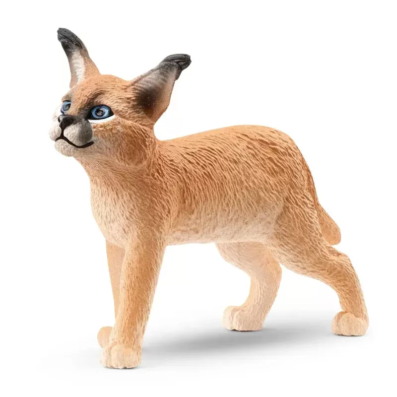 Jeune Caracal - SCH-14868-🟢 - Schleich - Figurines et accessoires - Le Nuage de Charlotte