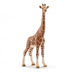 Girafe femelle - SCH-14750-⚫ - Schleich - Figurines et accessoires - Le Nuage de Charlotte