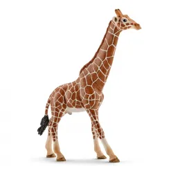 Girafe mâle - SCH-14759-⚫ - Schleich - Figurines et accessoires - Le Nuage de Charlotte