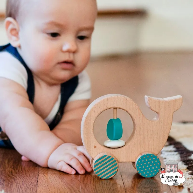 Wooden Push Along "Whale" - PTC-5074388 - Petit Collage - Push along - Le Nuage de Charlotte