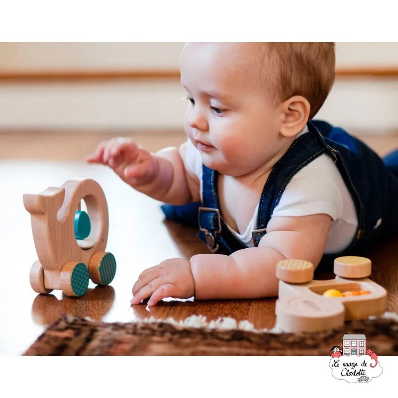 Wooden Push Along "Whale" - PTC-5074388 - Petit Collage - Push along - Le Nuage de Charlotte