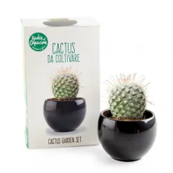 Kit de culture - Cactus - R&C-140830 - Radis et Capucine - Nature et découvertes - Le Nuage de Charlotte