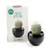 Cultivation kit - Cactus - R&C-140830 - Radis et Capucine - Nature and discoveries - Le Nuage de Charlotte