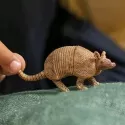 Armadillo - SCH-14874-🟢 - Schleich - Figures and accessories - Le Nuage de Charlotte