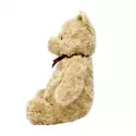 Disney - Hundred Acre Wood Winnie the Pooh Soft Toy - RAIN-DN1463 - Rainbow Designs - And the others... - Le Nuage de Charlotte