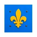Bouclier Historik Fleur de Lys (large) - KMT-ST632 - Kàlid Medieval Toys - Déguisements - Le Nuage de Charlotte