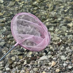 Telescopic fish net blush rose - FTDU-44100100 - Follow the Duck - Nature and discoveries - Le Nuage de Charlotte