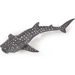Young whale shark - PAPO-56046 - Papo - Papo - Le Nuage de Charlotte