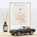 Chevrolet Corvette Sting Ray Cabriolet 1963 Noir [1:18] - NRV-189055 - Norev - Voitures, camions, etc. - Le Nuage de Charlotte