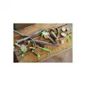 Terra Kids - Kit héros de la forêt - HAB-4010168258096 - Haba - Nature et découvertes - Le Nuage de Charlotte