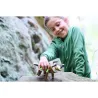 Terra Kids - Dinosaur kit - HAB-4010168258102 - Haba - Nature and discoveries - Le Nuage de Charlotte