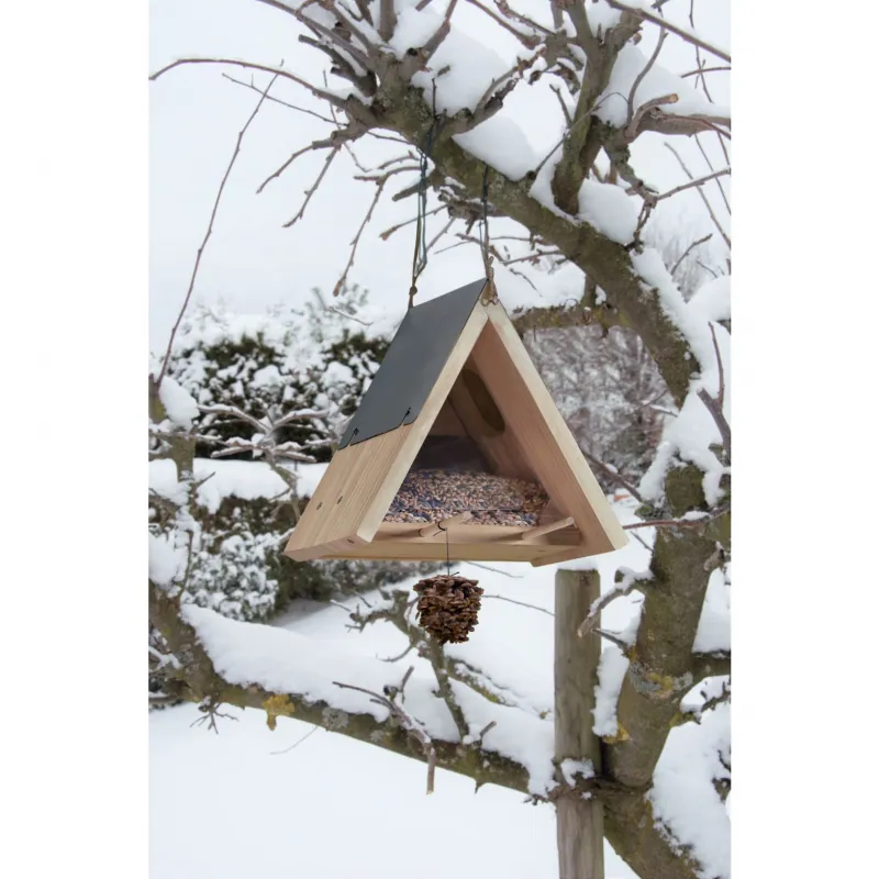 Terra Kids - Bird Box Kit - HAB-4010168255378 - Haba - Nature and discoveries - Le Nuage de Charlotte