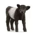 Galloway Calf - SCH-13969-🔴 - Schleich - Schleich - Le Nuage de Charlotte