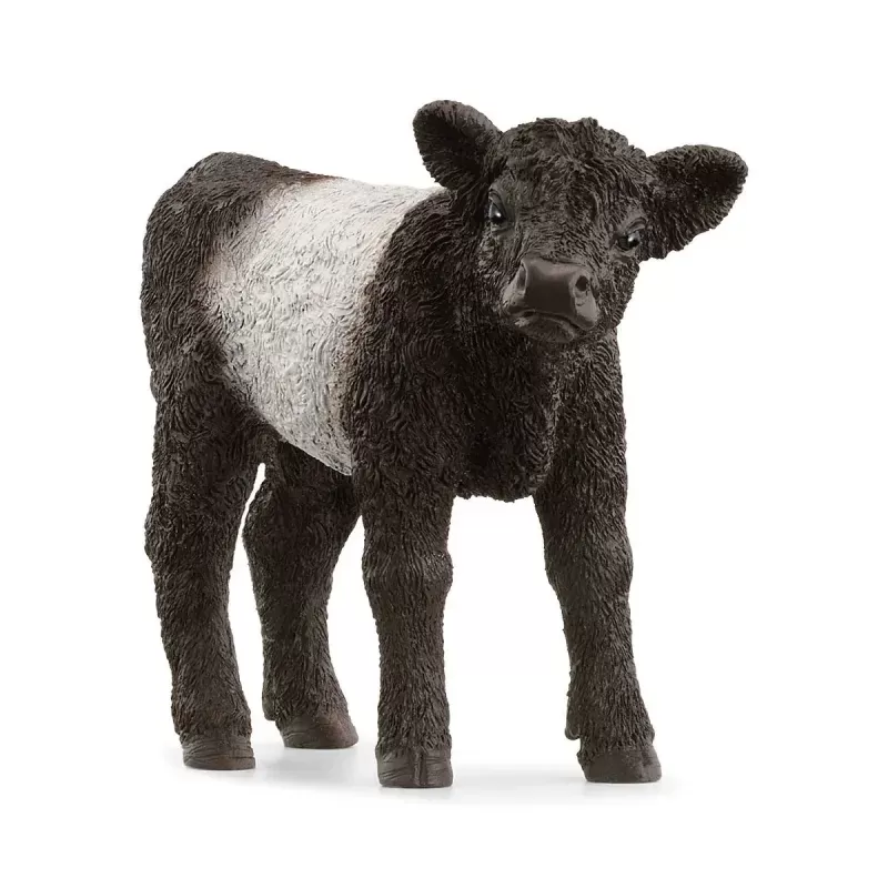 Veau Galloway - SCH-13969-🔴 - Schleich - Schleich - Le Nuage de Charlotte