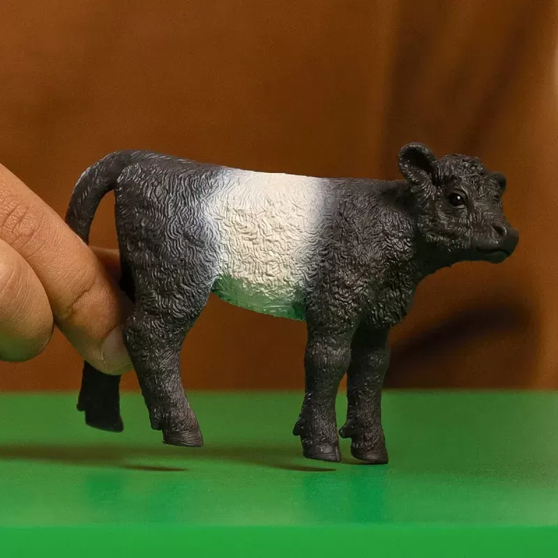 Veau Galloway - SCH-13969-🔴 - Schleich - Schleich - Le Nuage de Charlotte