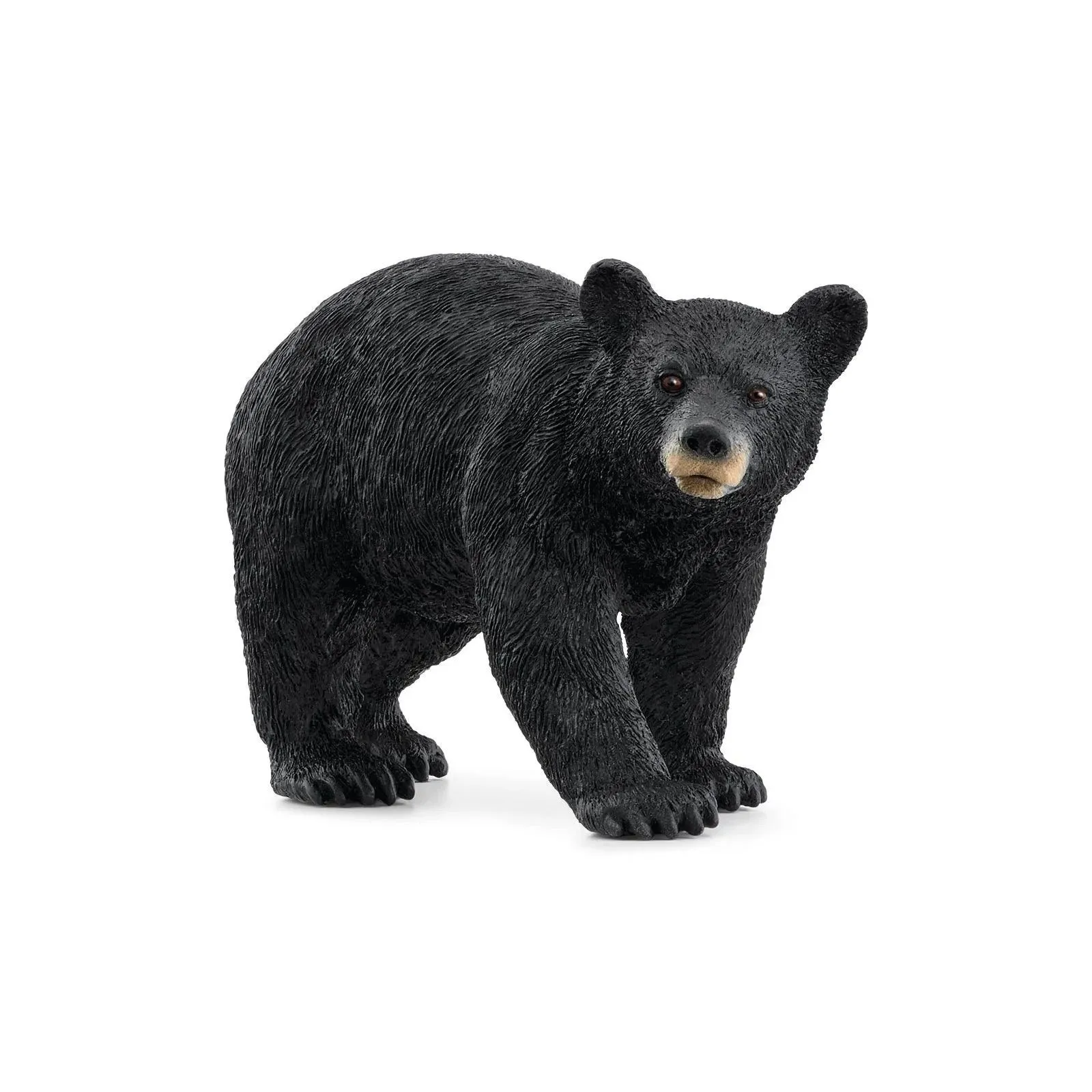 Schleich American Black Bear – vue 1 – Schleich