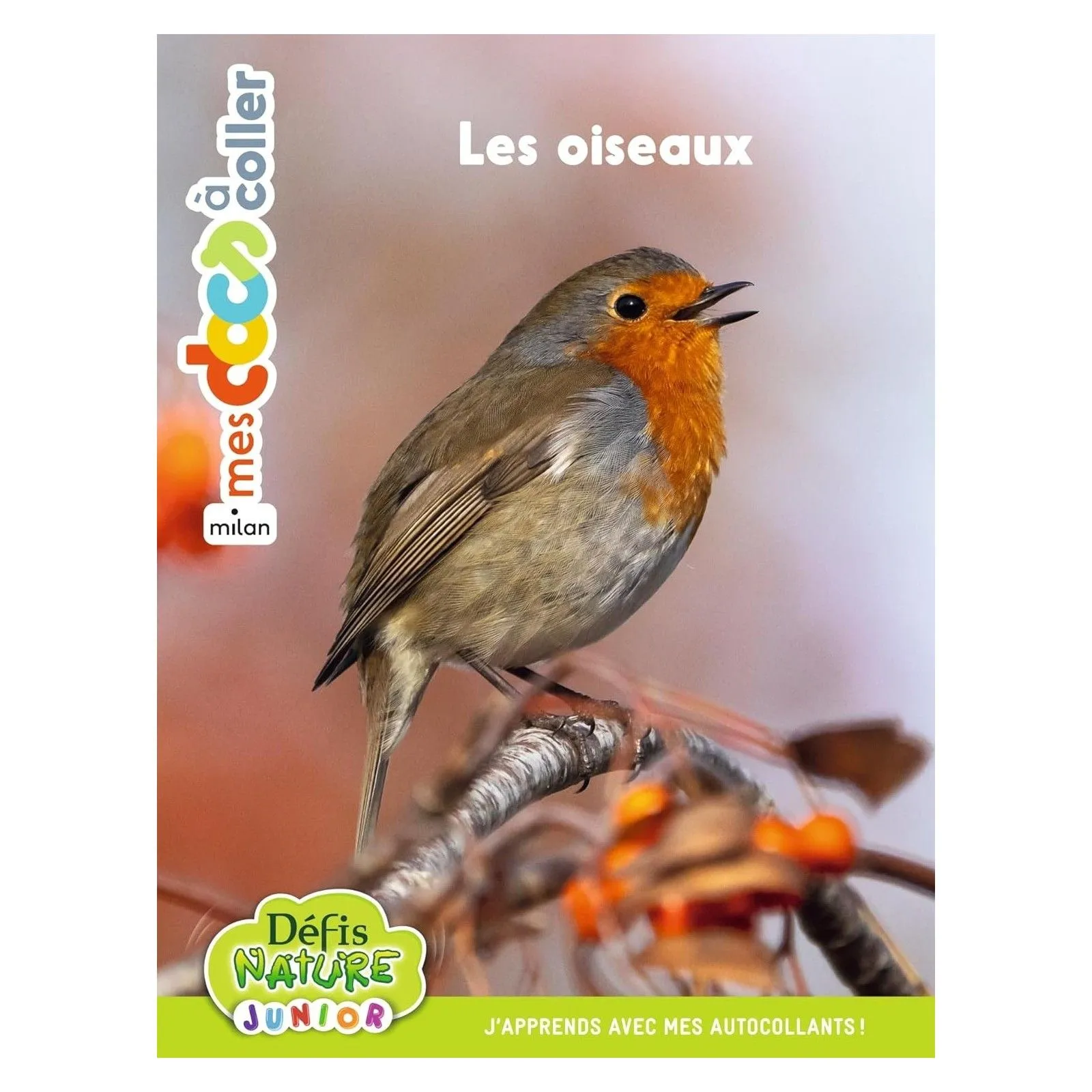 Milan Mes Docs à coller - Défis Nature Junior - Les oiseaux – vue 1 – Activity Books
