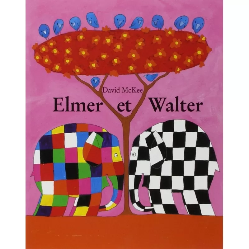 Kaleidoscope Elmer et Walter – vue 1 – Albums et Contes