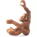 Schleich Jeune Orang-outan – vue 2 – Schleich