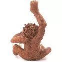Schleich Jeune Orang-outan – vue 3 – Schleich