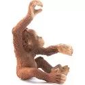 Schleich Jeune Orang-outan – vue 4 – Schleich