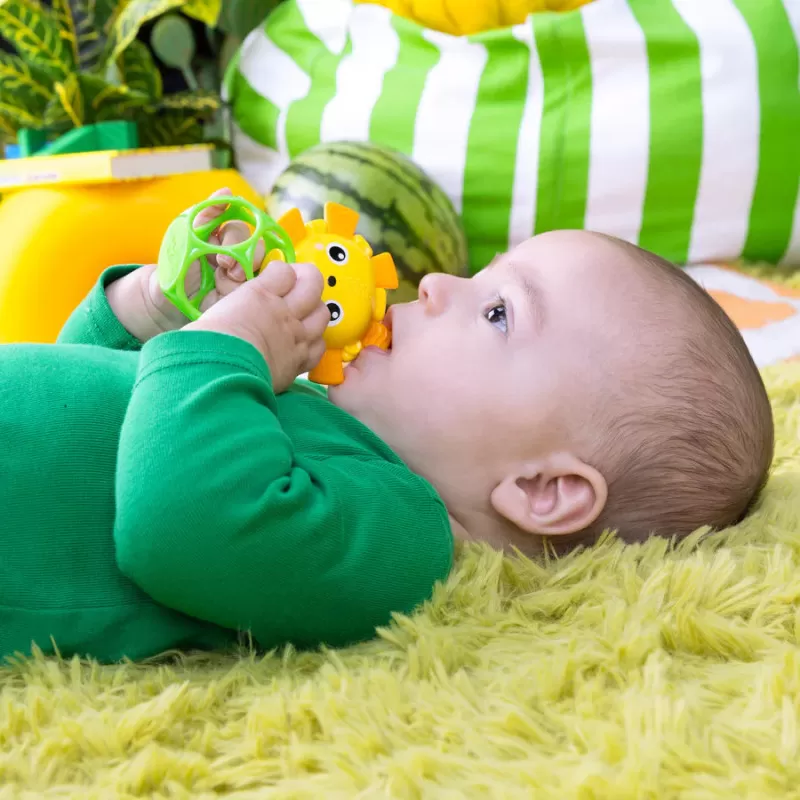 Kids2 Bright Starts - Soother Pals – vue 2 – Grab & Rattle