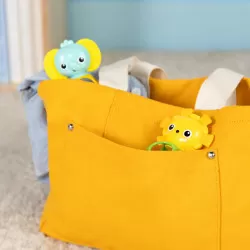 Kids2 Bright Starts - Soother Pals – vue 9 – Grab & Rattle