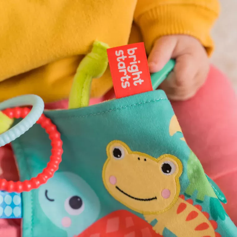 Kids2 Bright Starts - Fuzzy Feelies Soothing Blankie - Tropical Trio – vue 9 – Cuddle & Snuggle