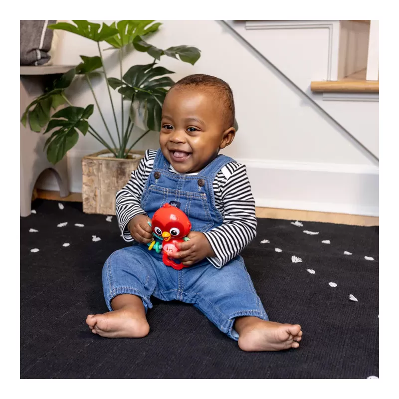 Kids2 Baby Einstein - Roxy's Bright Flight Musical Toy – vue 2 – Musical toys