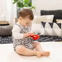 Kids2 Baby Einstein – Jouet musical Roxy's Bright Flight – vue 3 – Jouets musicaux