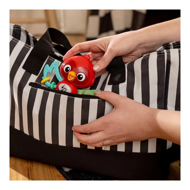 Kids2 Baby Einstein – Jouet musical Roxy's Bright Flight – vue 6 – Jouets musicaux
