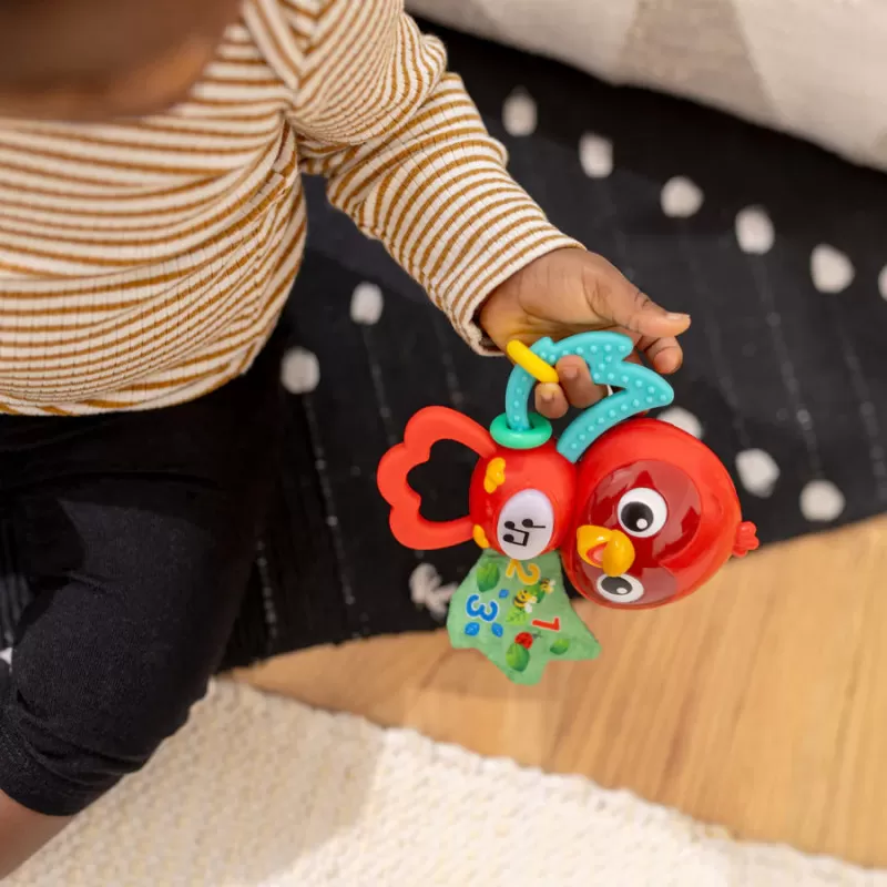 Kids2 Baby Einstein - Roxy's Bright Flight Musical Toy – vue 8 – Musical toys